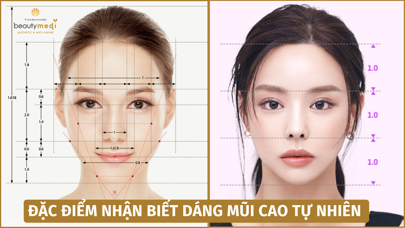 tỷ lệ của dáng mũi cao