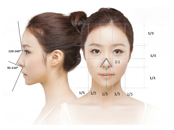 Dáng mũi đẹp là dáng mũi hài hòa với gương mặt 
